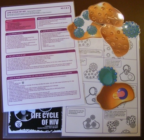 Life Cycle of HIV Pack (TMCHIV)